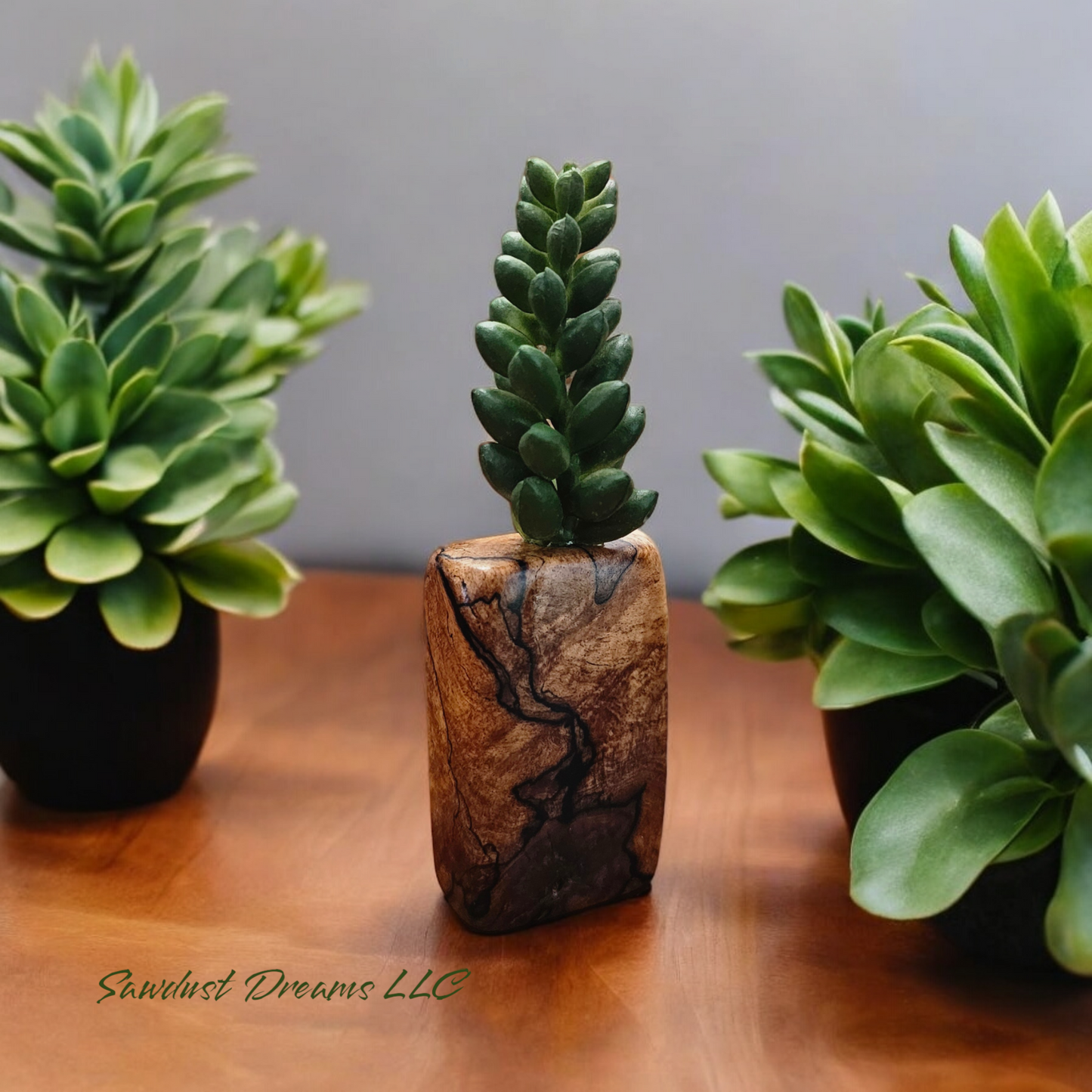 Spalted Maple Succulent Magnets