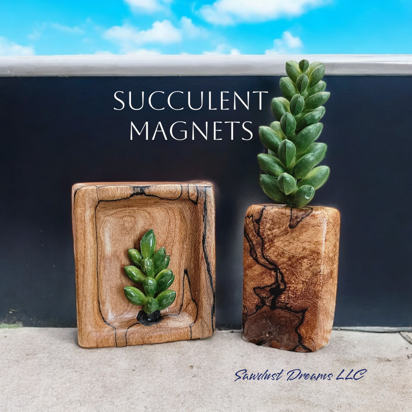 Spalted Maple Succulent Magnets