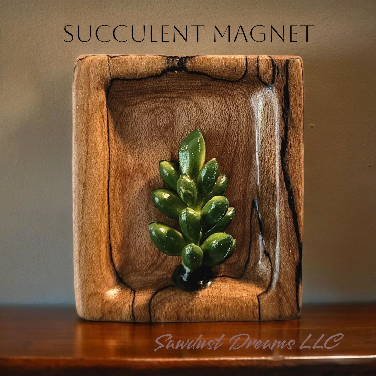 Spalted Maple Succulent Magnets